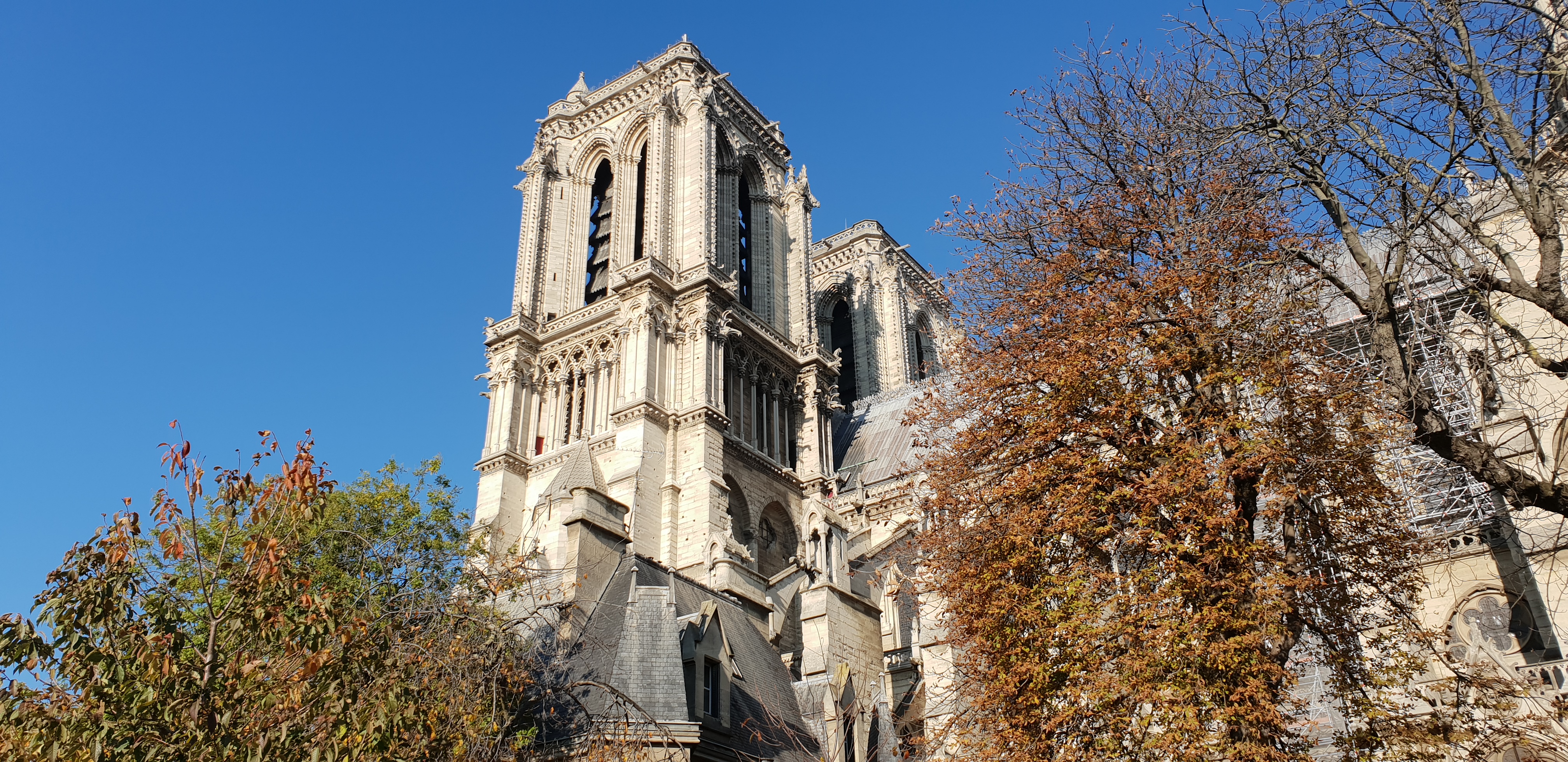 Notre-Dame de Paris/Fot. Paweł Rozwód