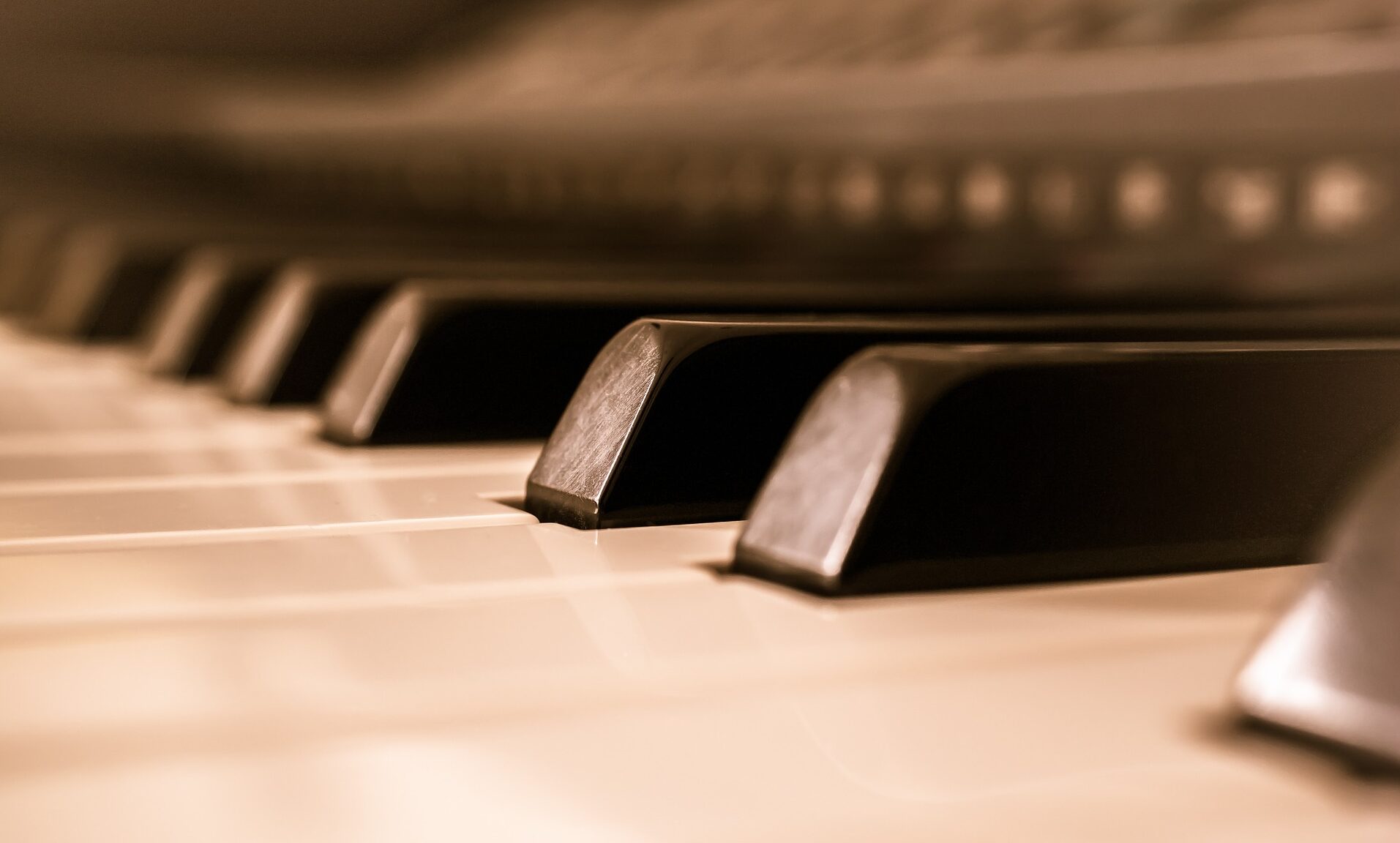 fot. Pixabay.com