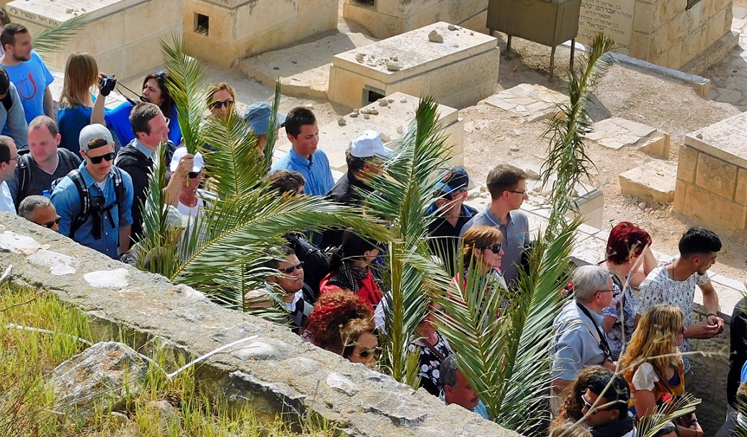 Procesja w Niedzielę Palmową schodzi z Góry Oliwnej do Jerozolimy, fot. s. Amata CSFN