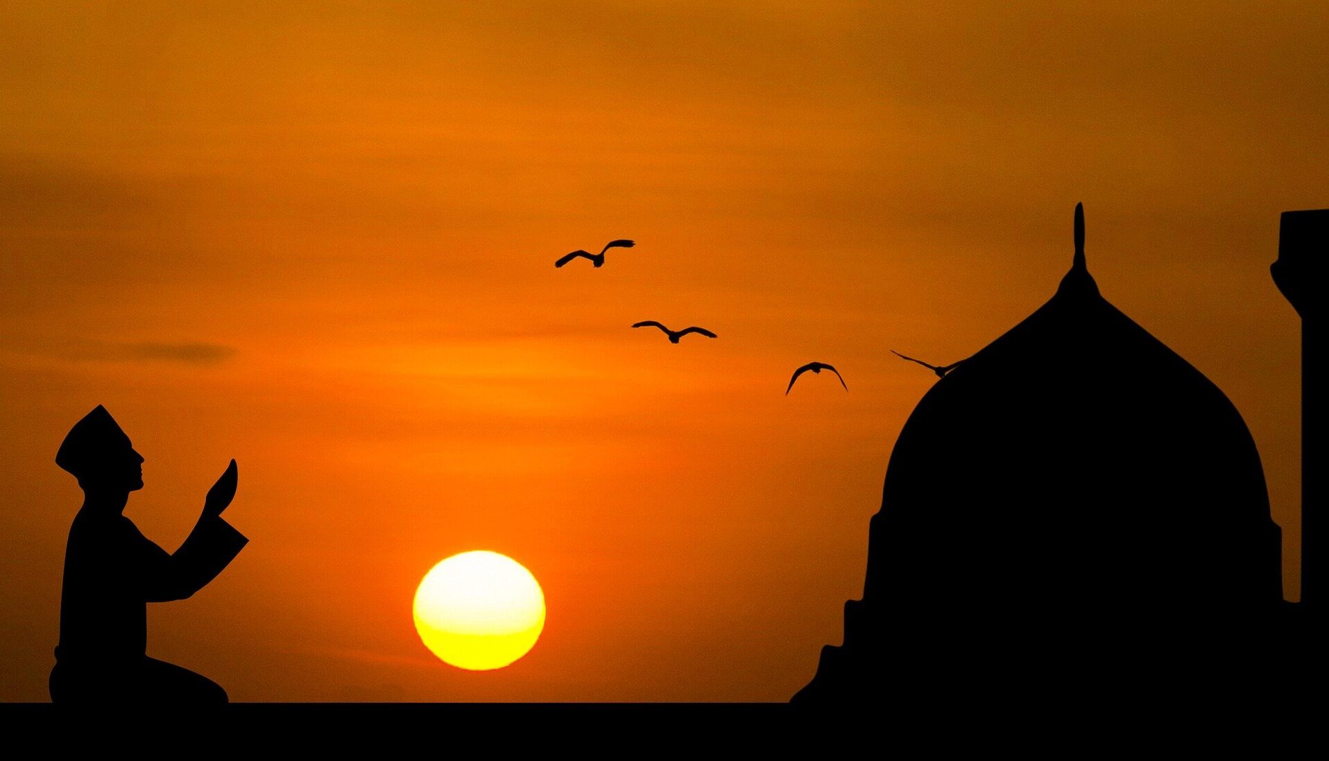 mohamed Hassan z Pixabay