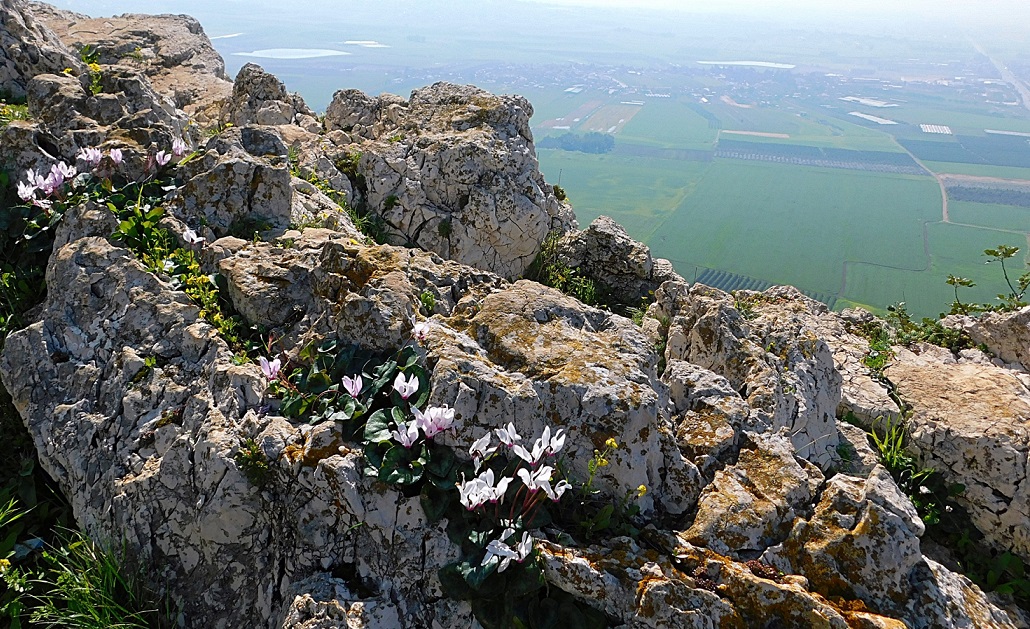 Mount of Precipice_PhotoCredit Sr. Amata CSFN (3) / Góra Strącenia w pobliżu Nazaretu, fot. s. Amata CSFN 