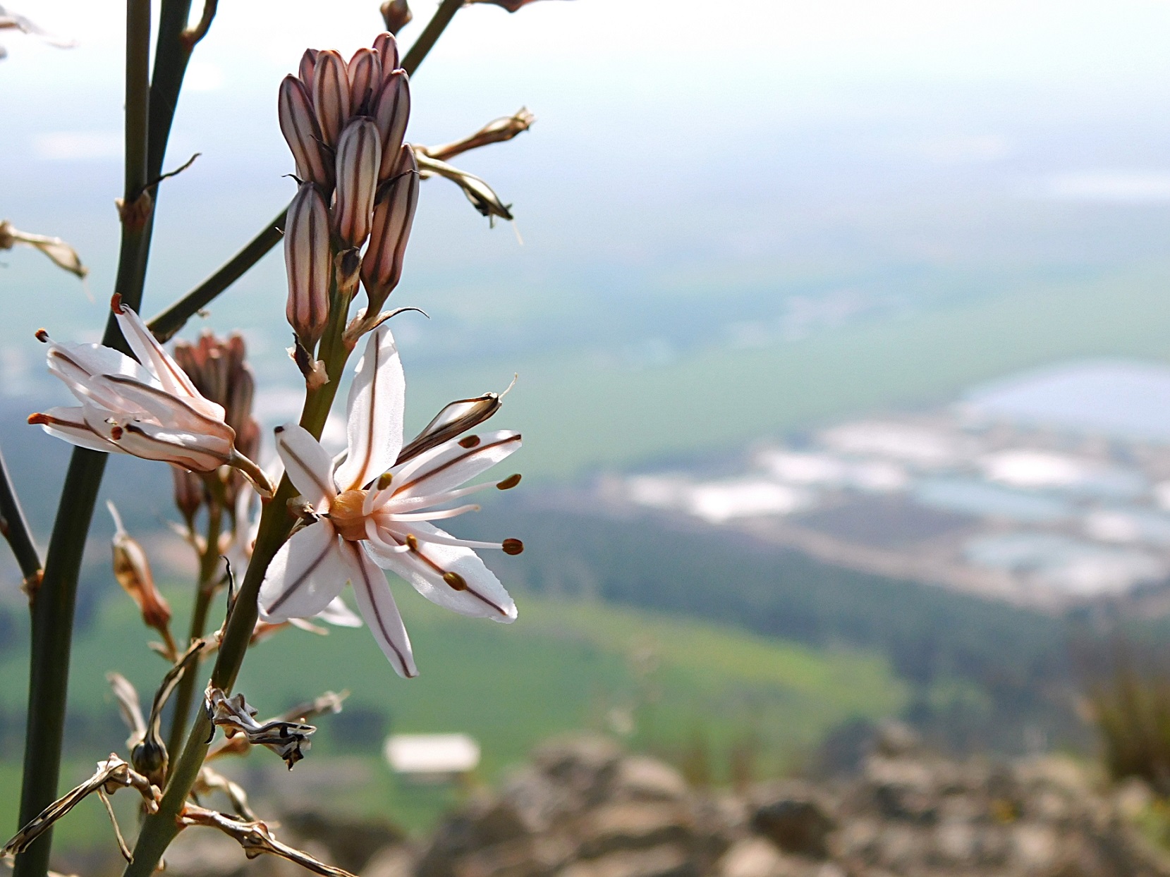 Mount of Precipice, photo credit Sr. Amata CSFN / Góra Strącenia w pobliżu Nazaretu, fot. s. Amata CSFN