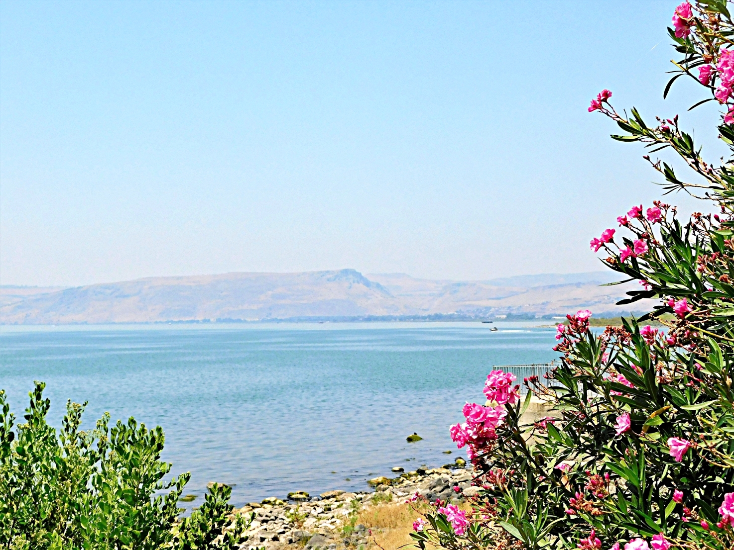 Capharnaum - the Sea of Galilee Photo credit Sr. Amata CSFN