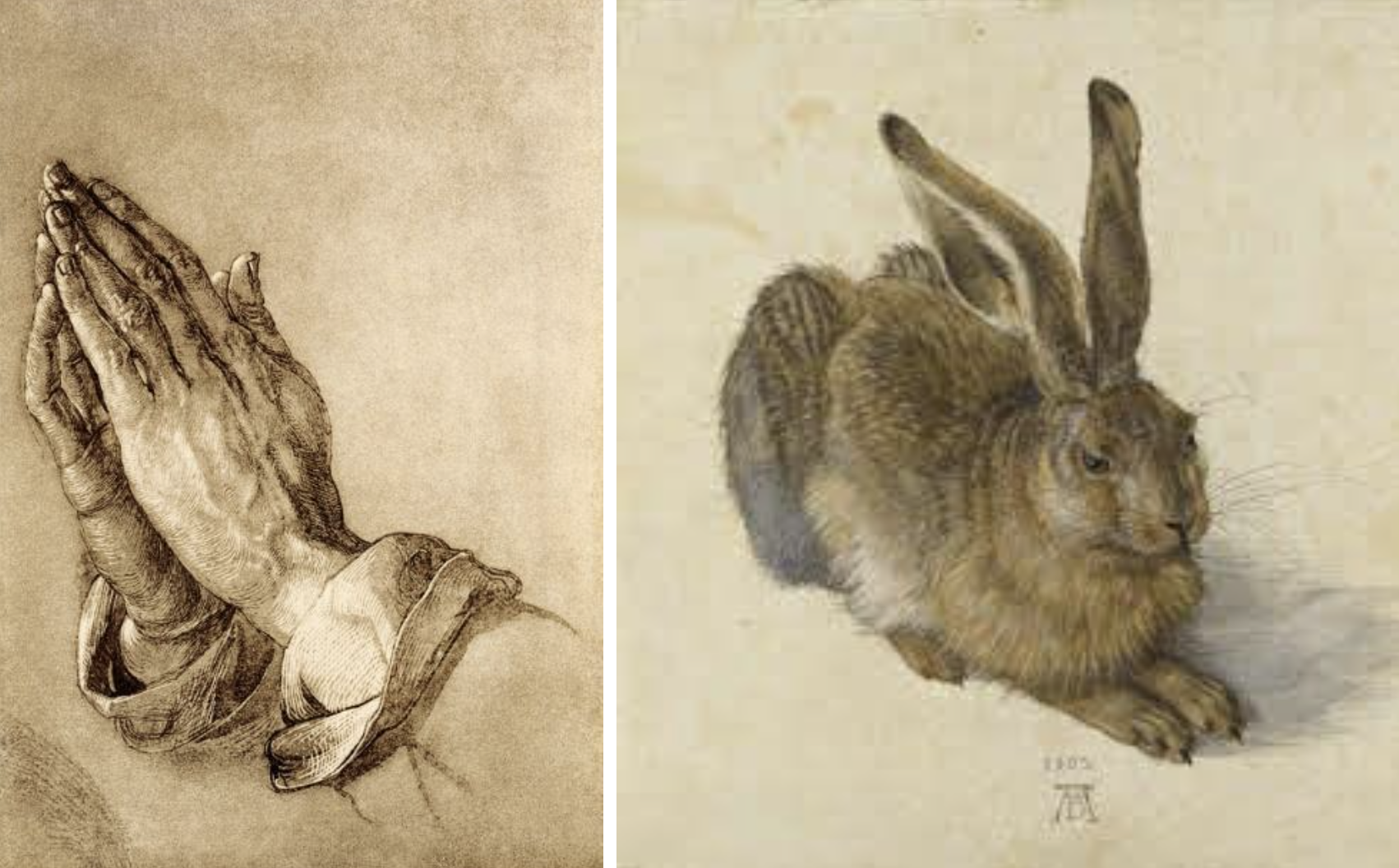 Modlące się dłonie i zając brunatny Albrechta Dürera*, fot. domena publiczna