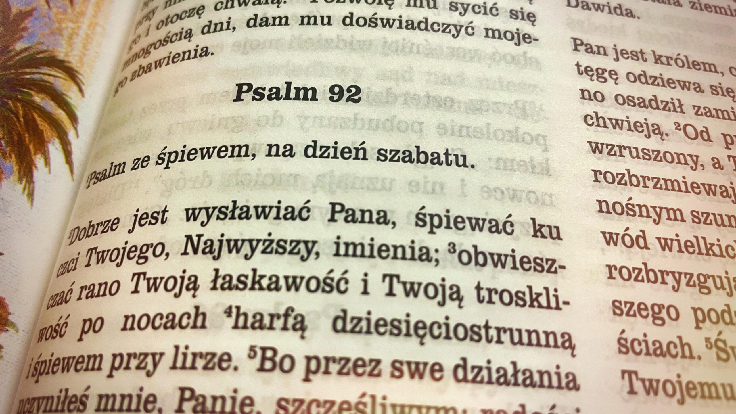 Psalm 92, fot. s. Amata J. Nowaszewska CSFN / Family News Service