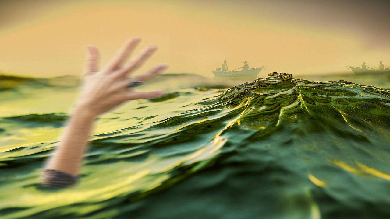 fot. pixabay.com