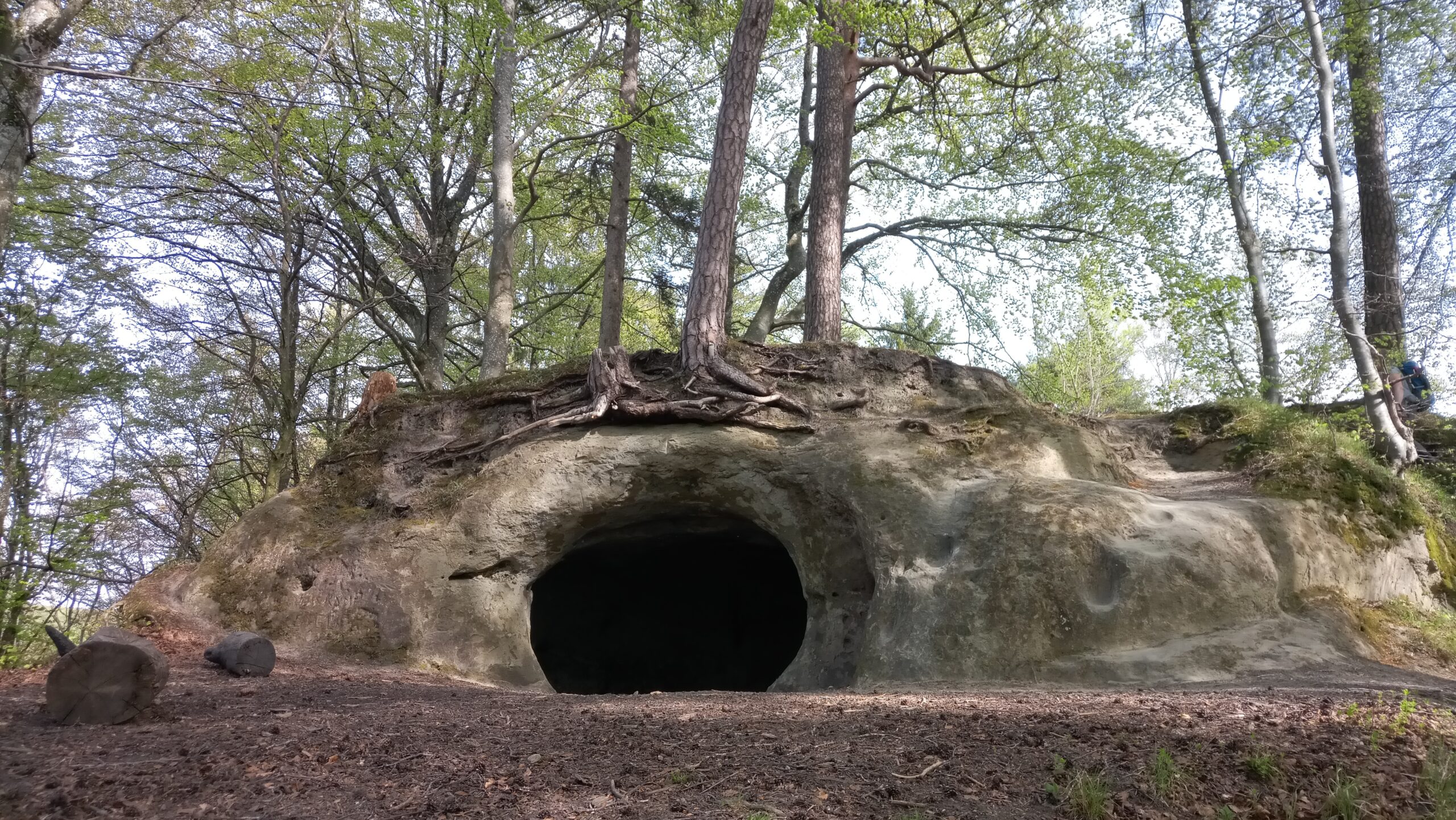 fot. Holedulidu, pixabay.com