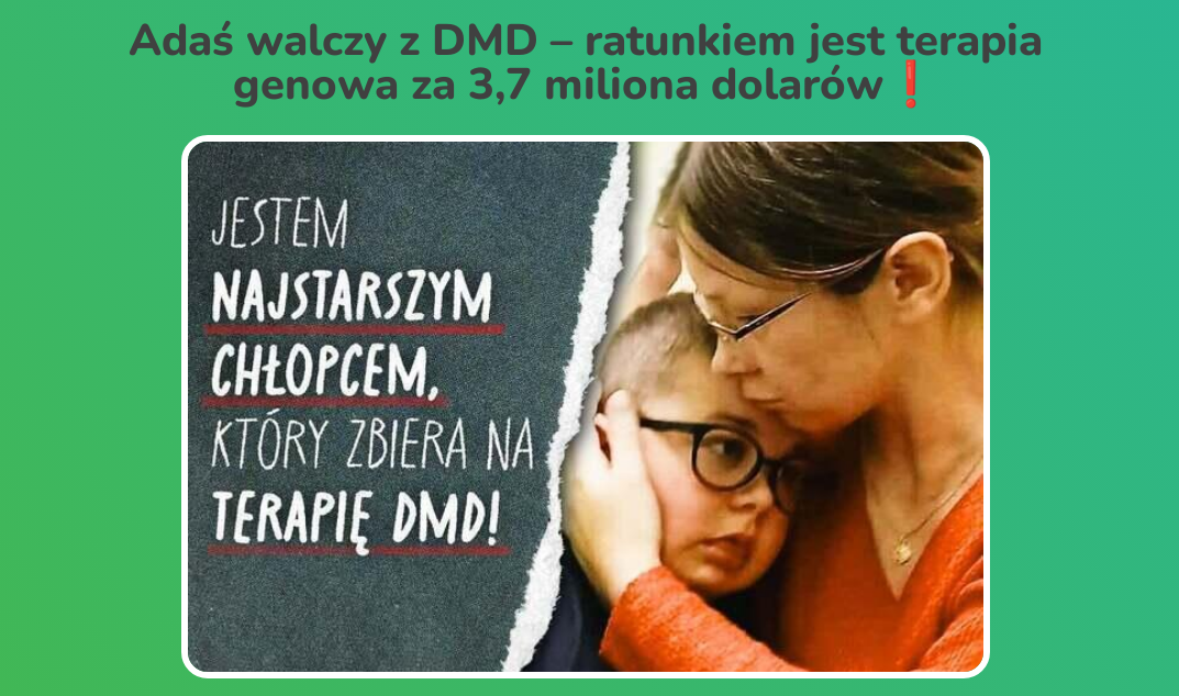 materiały organizatorów