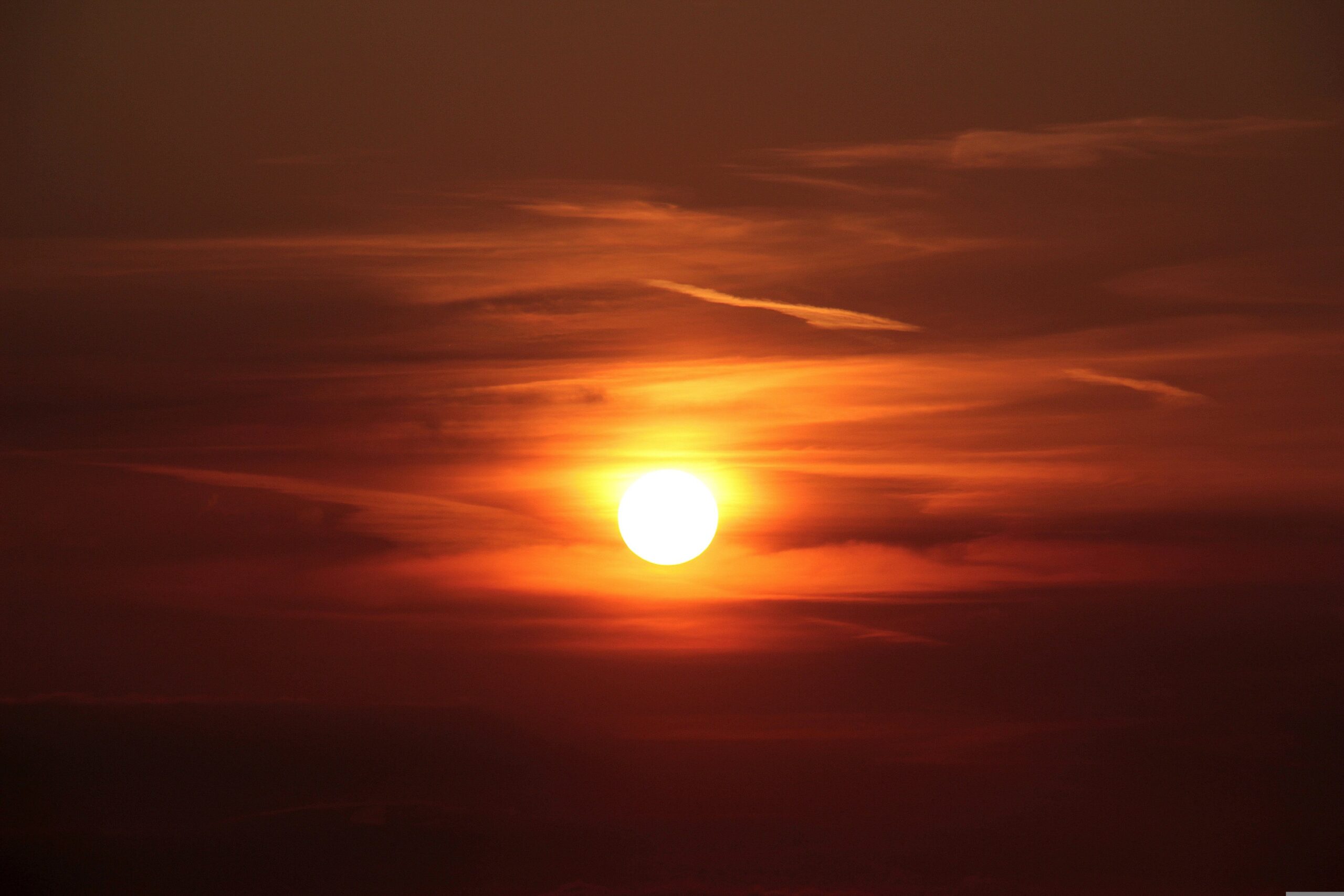 fot. Myriams-Fotos, pixabay.com