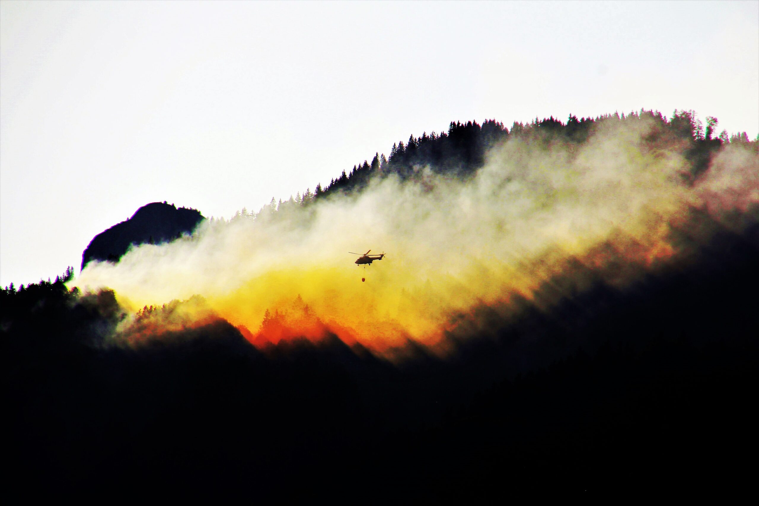 fot. ReinhardThrainer, pixabay.com