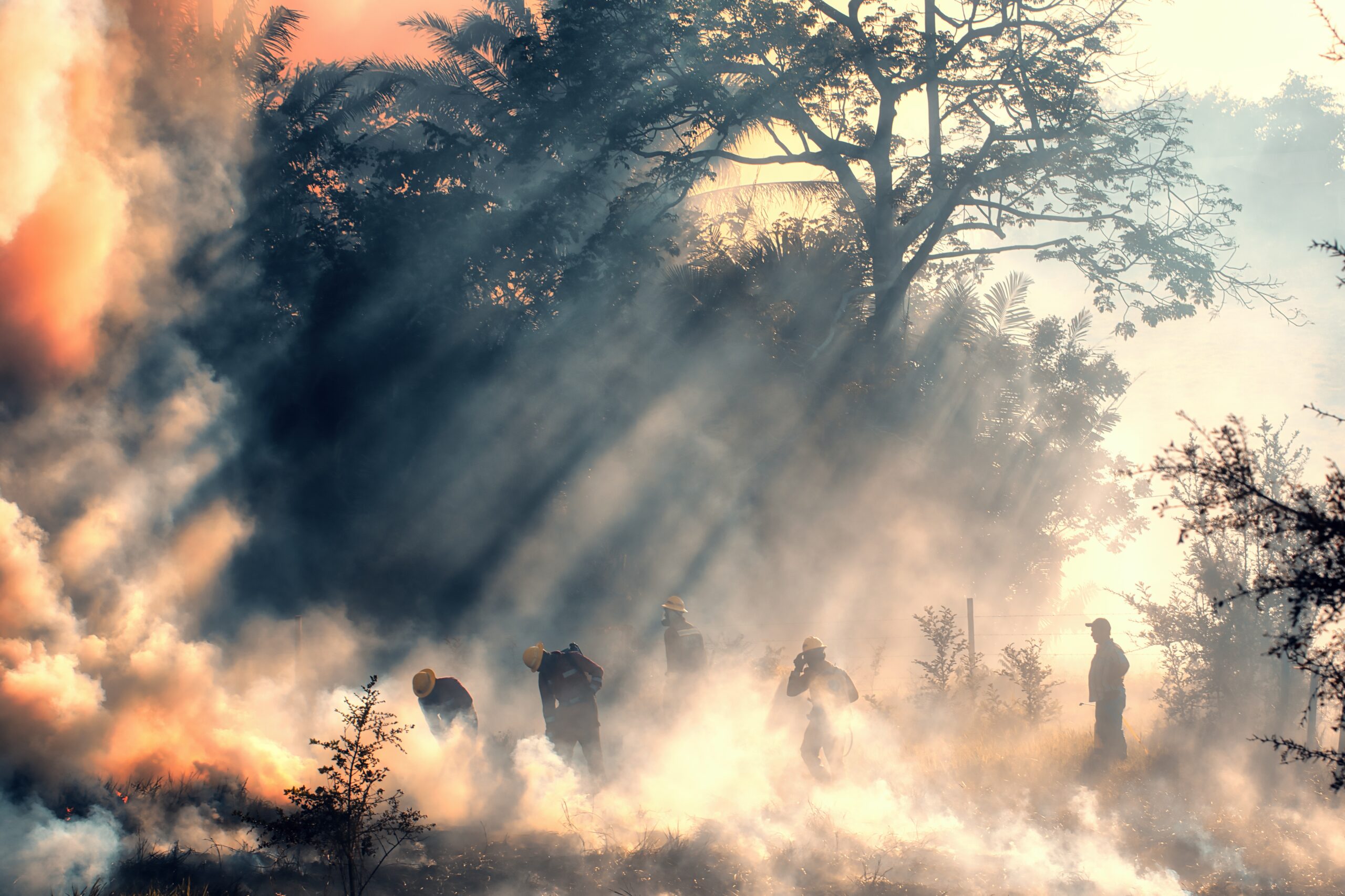 fot. RonaldPlett, pixabay.com